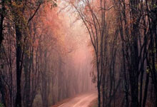 天涯论坛公务员考试：一场全民国考的网络备考江湖！