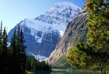 天涯娱乐圈爆料神贴：一贴勾起十个热搜，原来星味儿都是这么放出的！