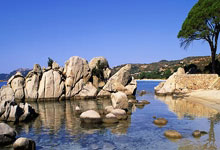 天涯娱乐圈爆料神贴：一贴勾起十个热搜，原来星味儿都是这么放出的！